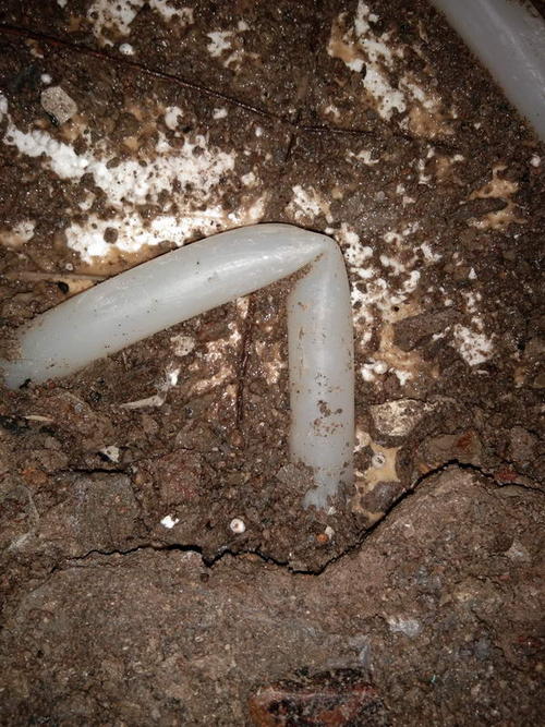 兰陵堵点精准查找